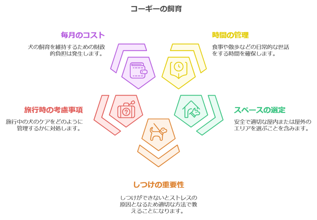 コーギー飼育の図解