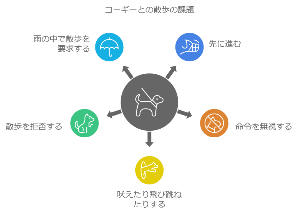 コーギーとの散歩の課題の図解