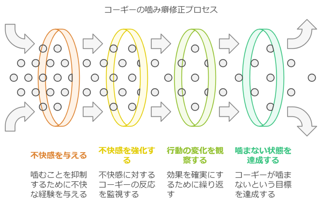 コーギーの甘噛み修正プロセス図解