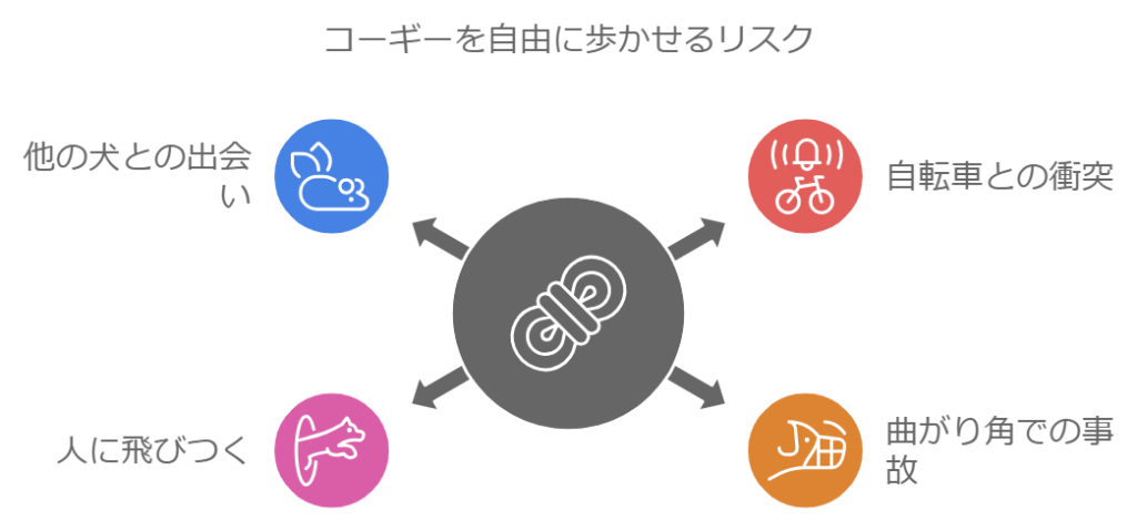 コーギー自由に歩かせるリスク図解