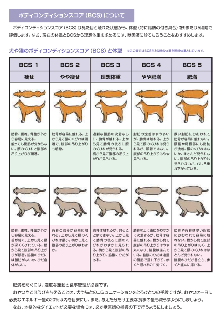 環境省ボディコンディションスコア