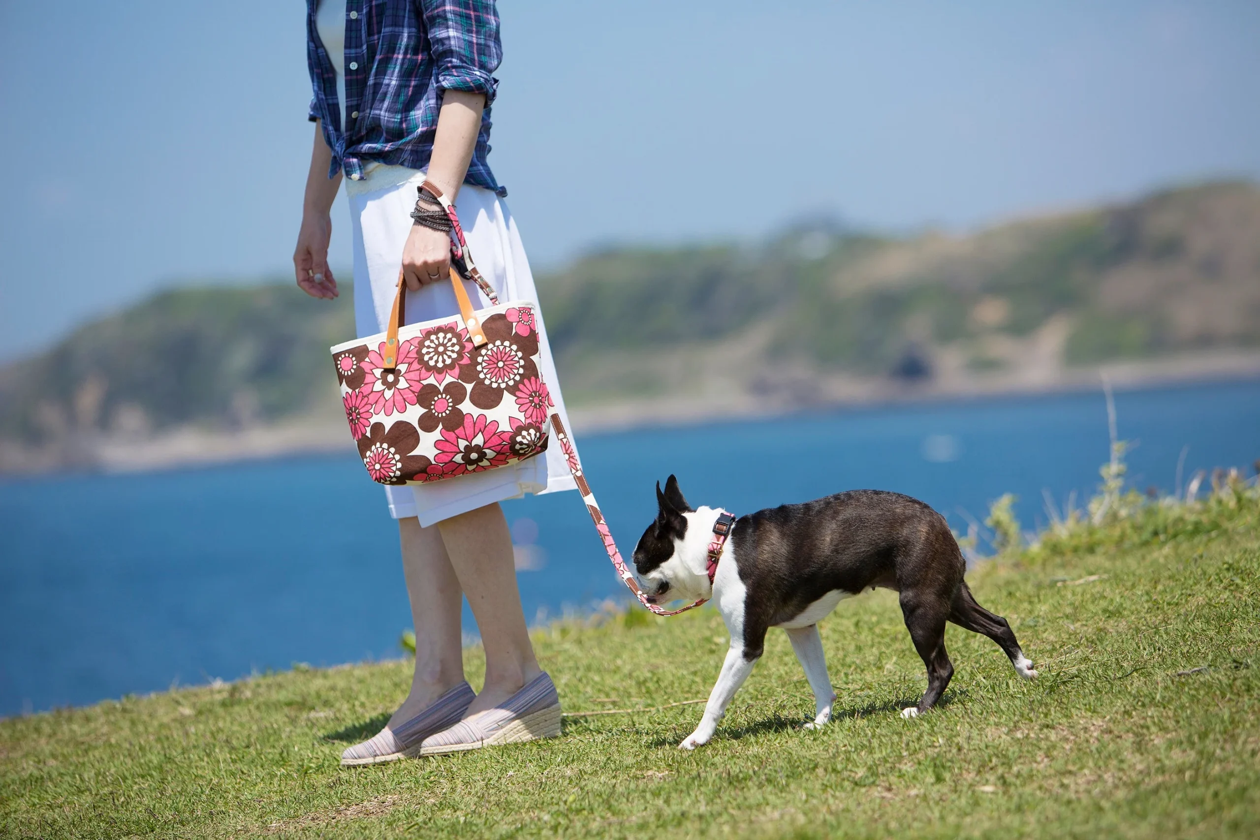 犬と散歩する女性